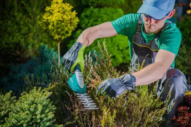 landscaping services Loretto